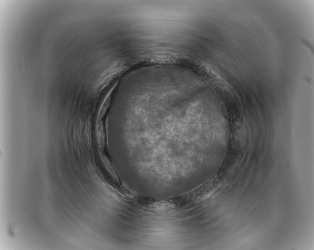 X0000097760696200803211714