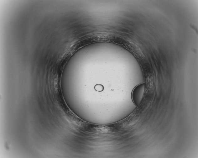 X0000097760698200803211714