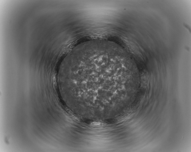 X0000097760699200803211714