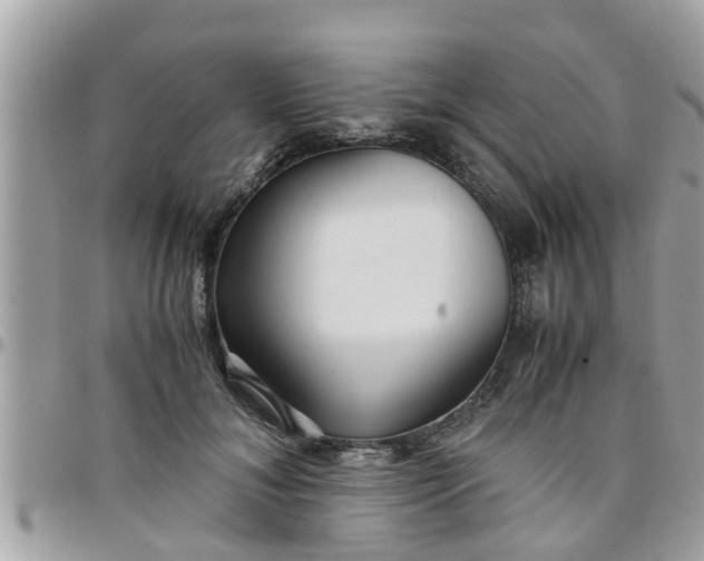 X0000097760700200803211714