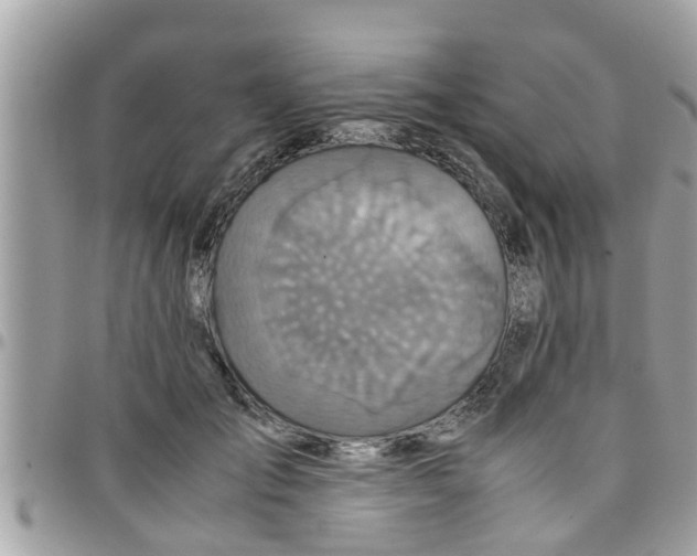 X0000097760701200803211714