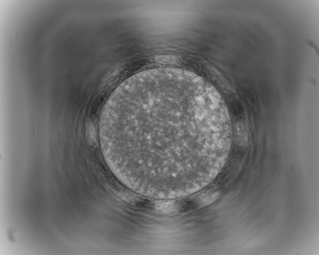 X0000097760705200803211714