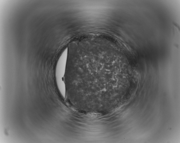 X0000097760707200803211714