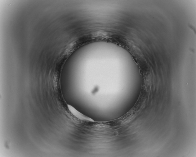 X0000097760708200803211714