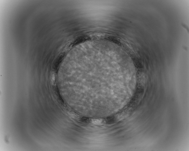 X0000097760709200803211714