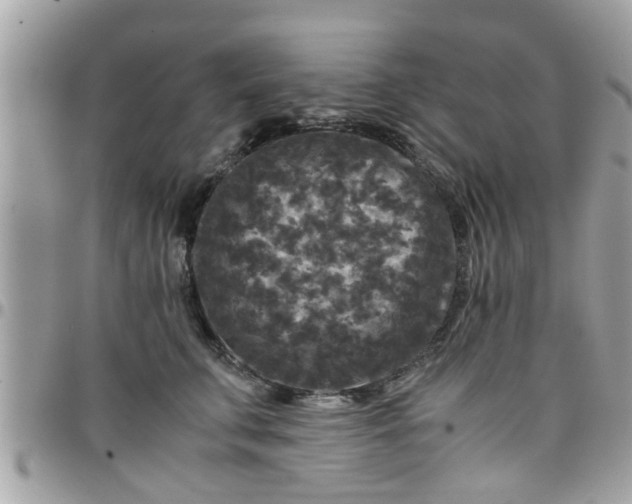 X0000097760711200803211714