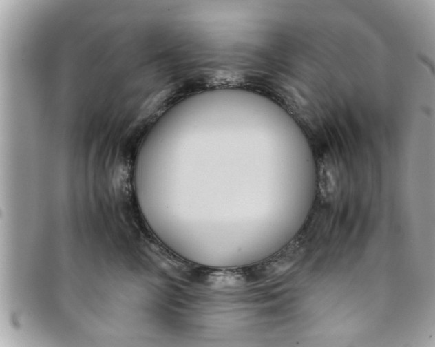 X0000097760714200803211714