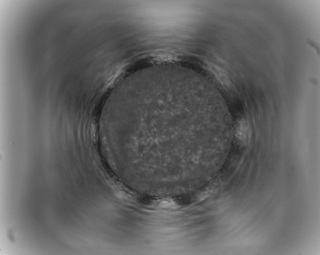 X0000097760715200803211714