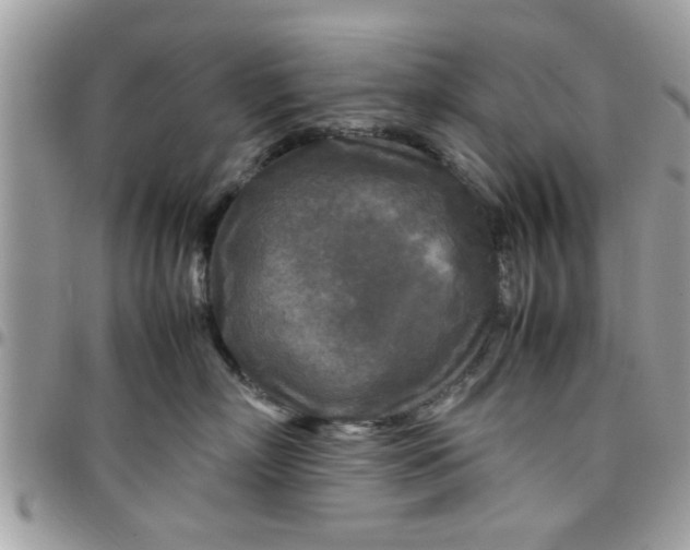 X0000097760718200803211714