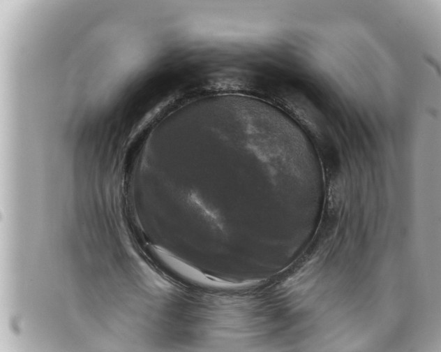 X0000097760722200803211713