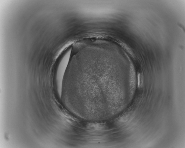 X0000097760723200803211713