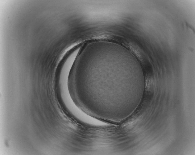 X0000097760724200803211713