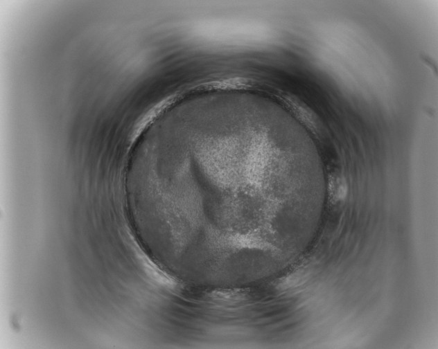 X0000097760725200803211713