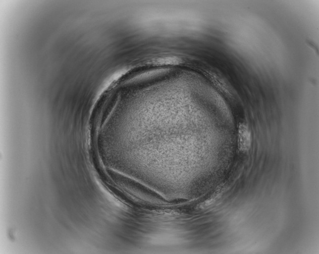 X0000097760726200803211713