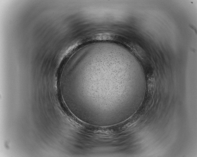 X0000097760727200803211713