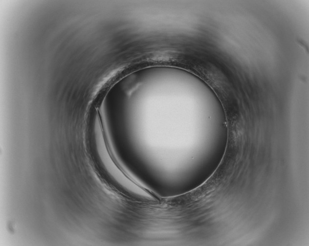 X0000097760728200803211713