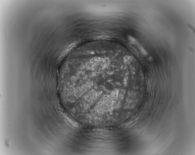 X0000097760729200803211713