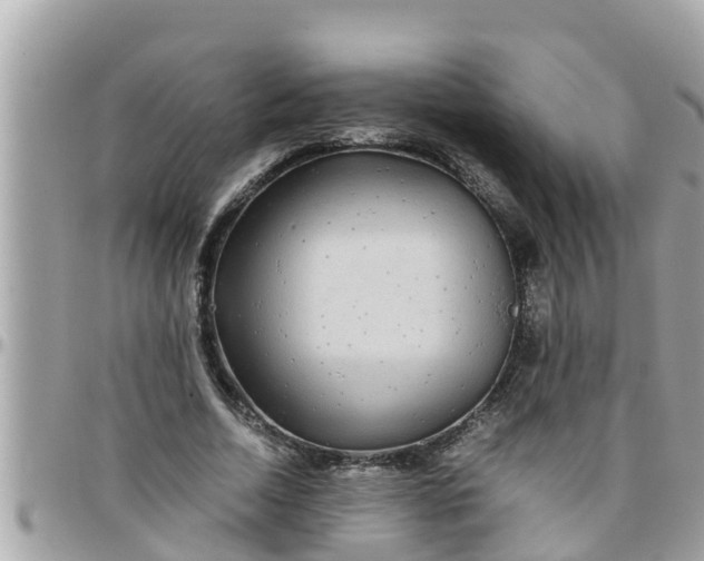 X0000097760730200803211713