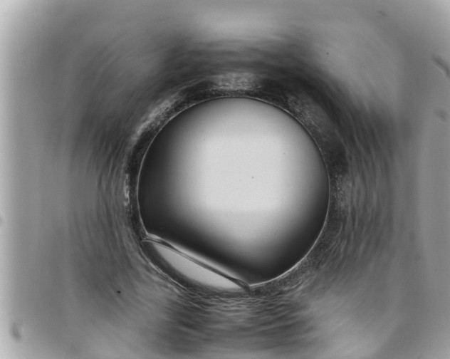 X0000097760731200803211713