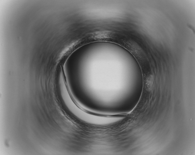 X0000097760732200803211714