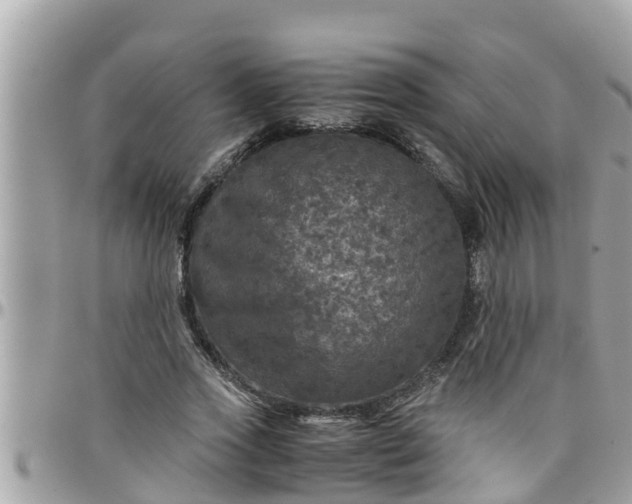 X0000097760733200803211714