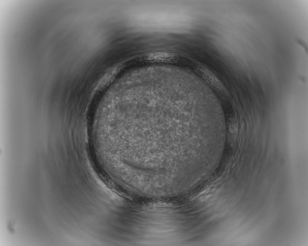 X0000097760734200803211714