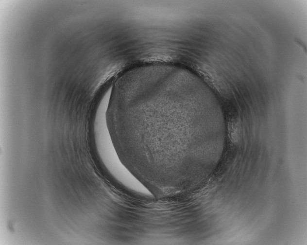 X0000097760735200803211714