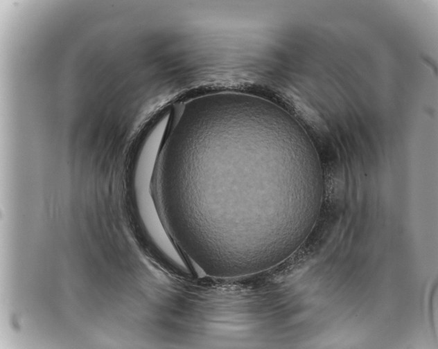 X0000097760736200803211714