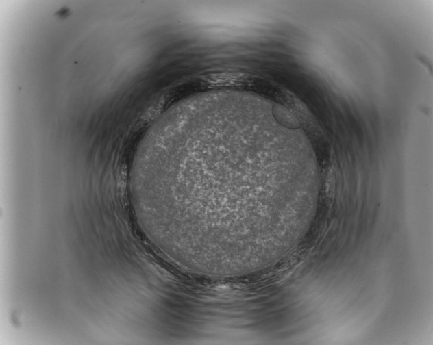 X0000097760737200803211714