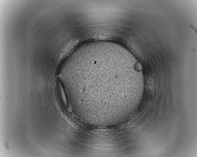 X0000097760738200803211714