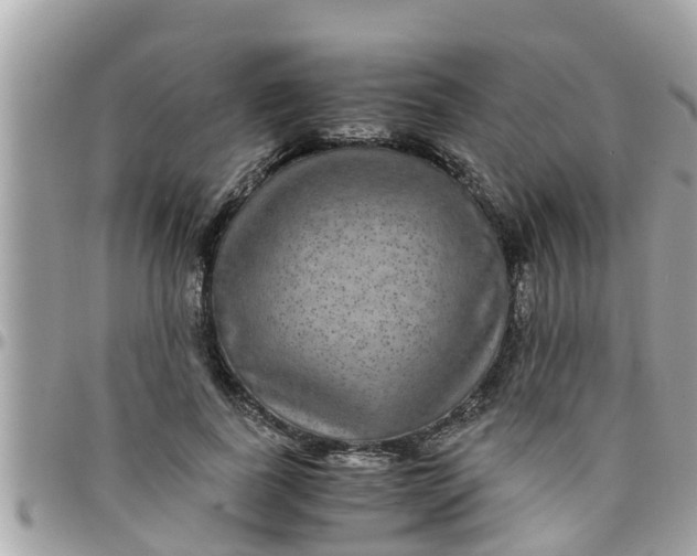 X0000097760739200803211714