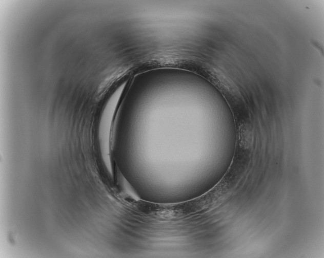 X0000097760740200803211714