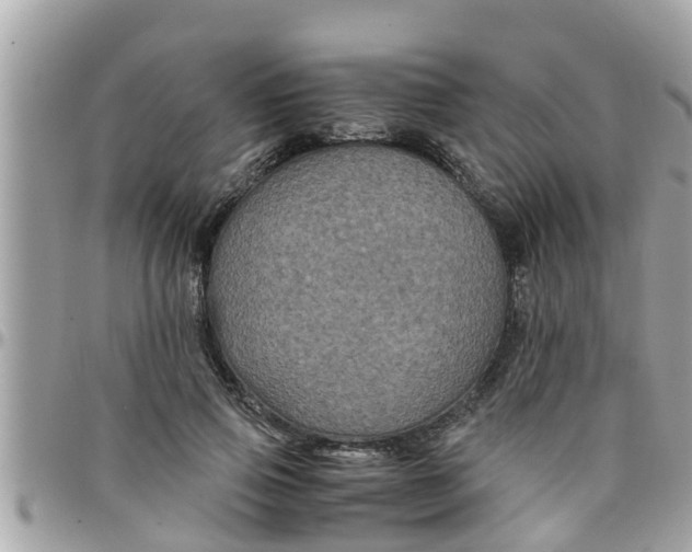 X0000097760741200803211714