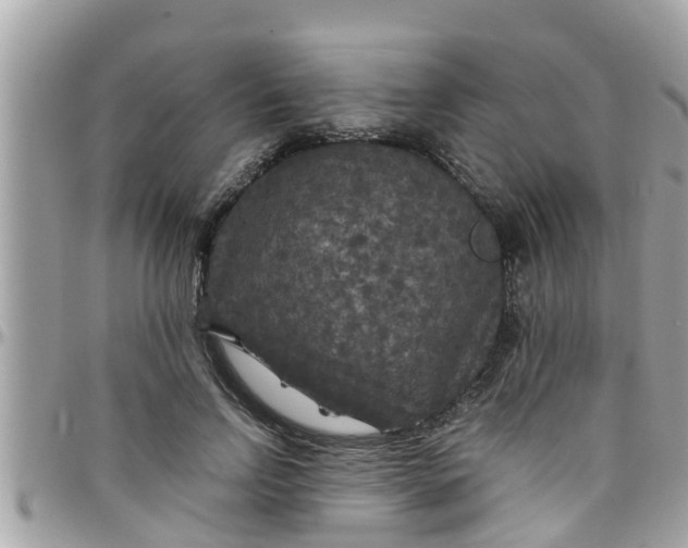 X0000097760742200803211714