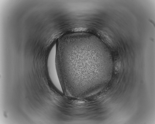 X0000097760743200803211714