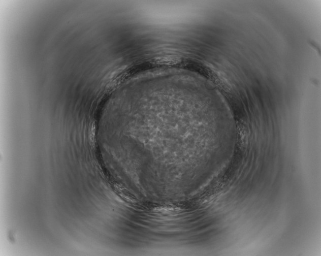 X0000097760745200803211714