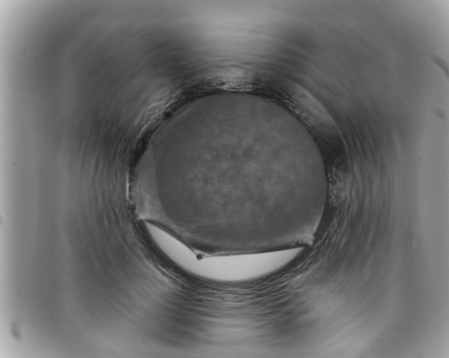 X0000097760748200803211714