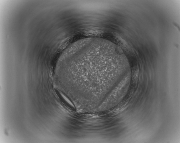 X0000097760749200803211714