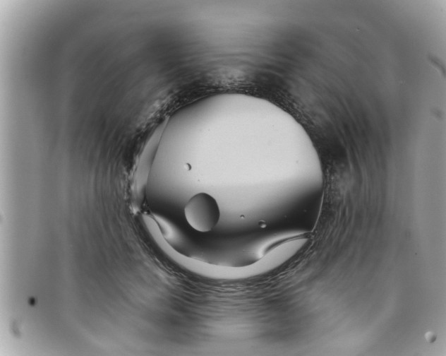 X0000097760750200803211714