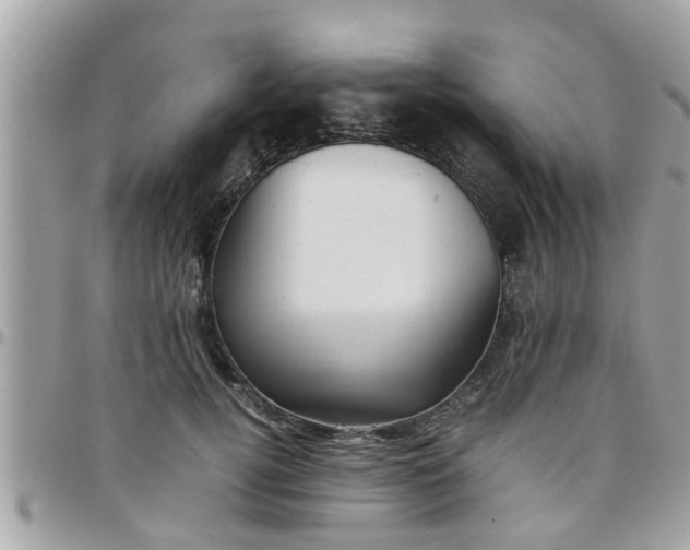 X0000097760752200803211714