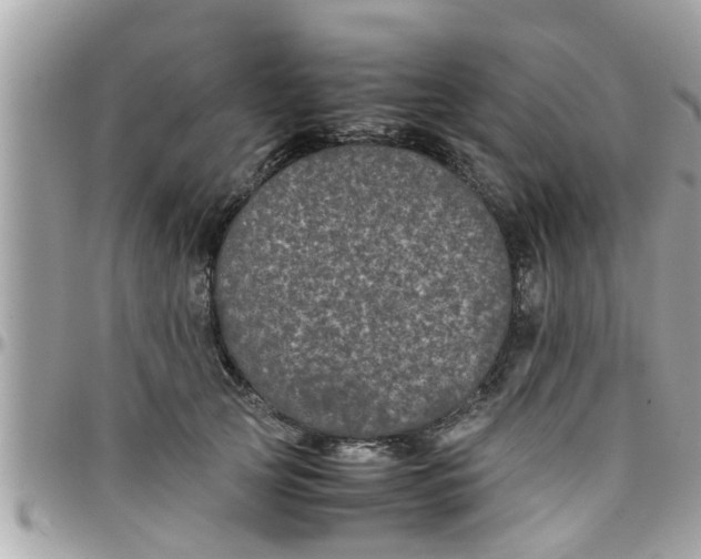 X0000097760753200803211714