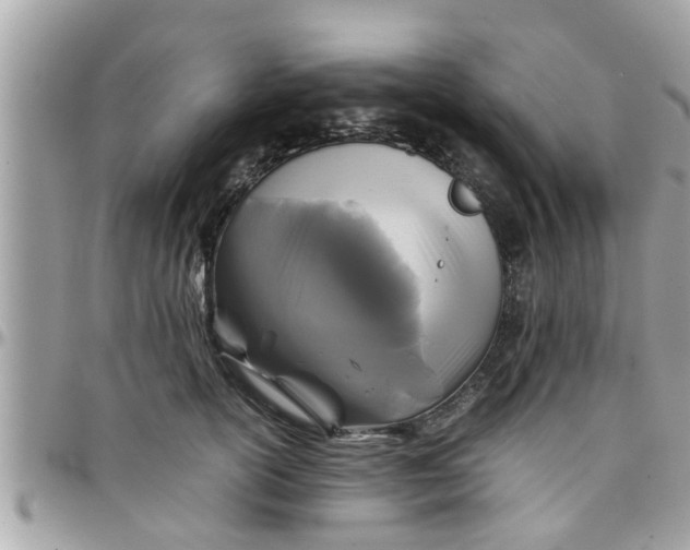 X0000097760754200803211714