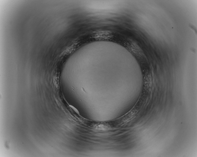 X0000097760755200803211714