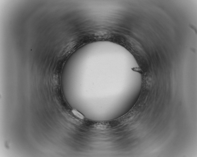 X0000097760756200803211714