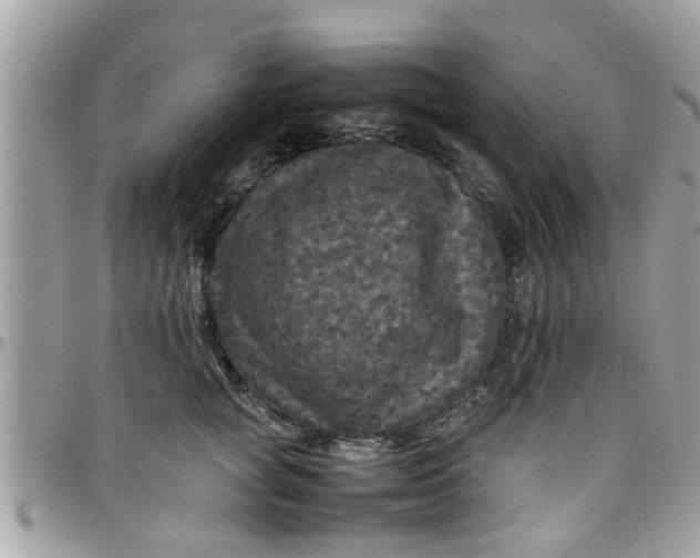 X0000097760757200803211714