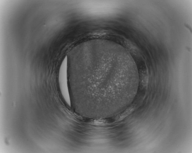 X0000097760758200803211714