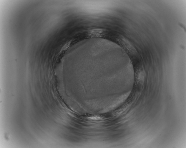 X0000097760759200803211714