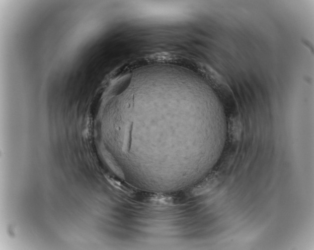 X0000097760760200803211714