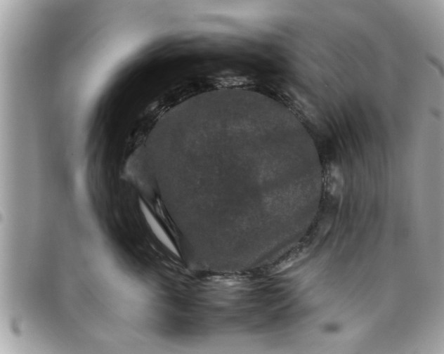 X0000097760763200803211714