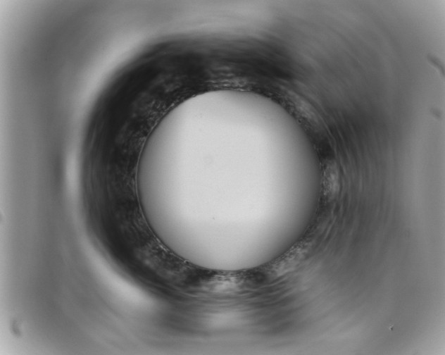 X0000097760764200803211714